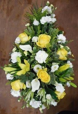Yellow and white spray